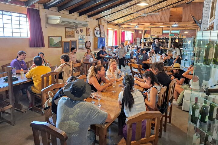Excursión de 3 bodegas y 1 olivícola con degustación