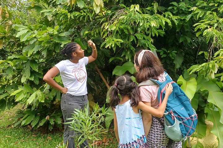 Vanilla Circuit, meeting our local producers