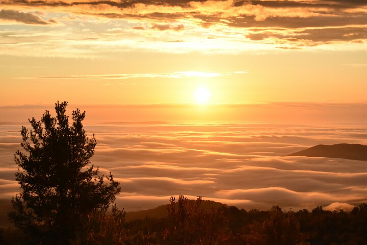 Self Guided Audio Tour Skyline Drive and Shenandoah NP