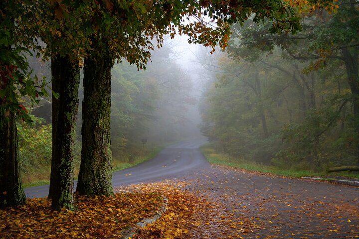 Self Guided Audio Tour Skyline Drive and Shenandoah NP