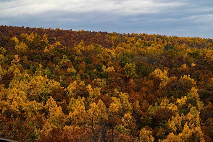 Self Guided Audio Tour Skyline Drive and Shenandoah NP