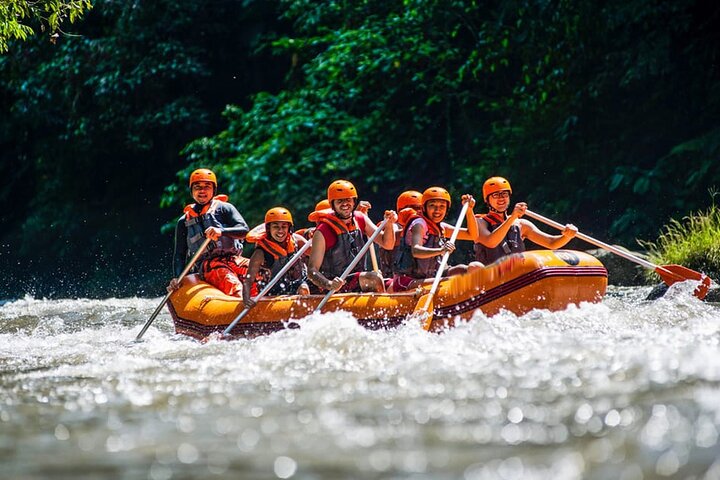 Bali ATV (Quad Bike)+Rafting with lunch+Coffee Plantation tour