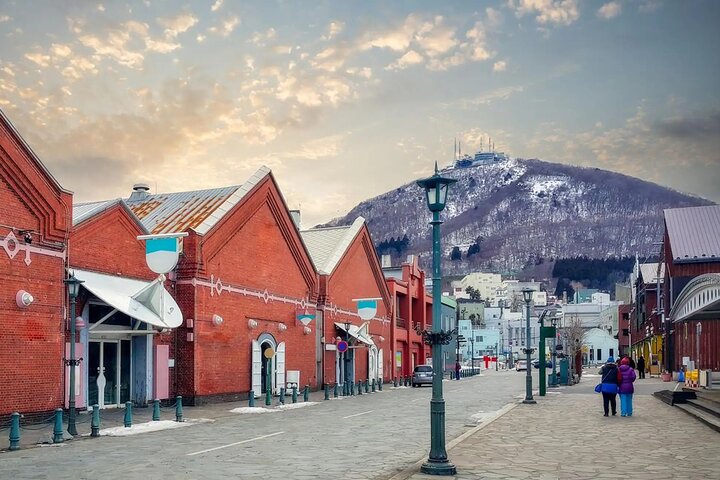 Hakodate Highlights 5 Hours Private Shore Excursion
