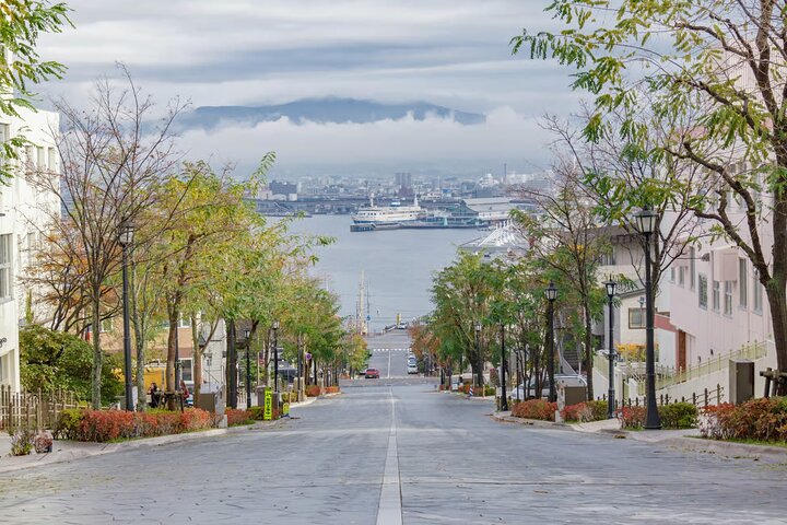 Hakodate Highlights 5 Hours Private Shore Excursion