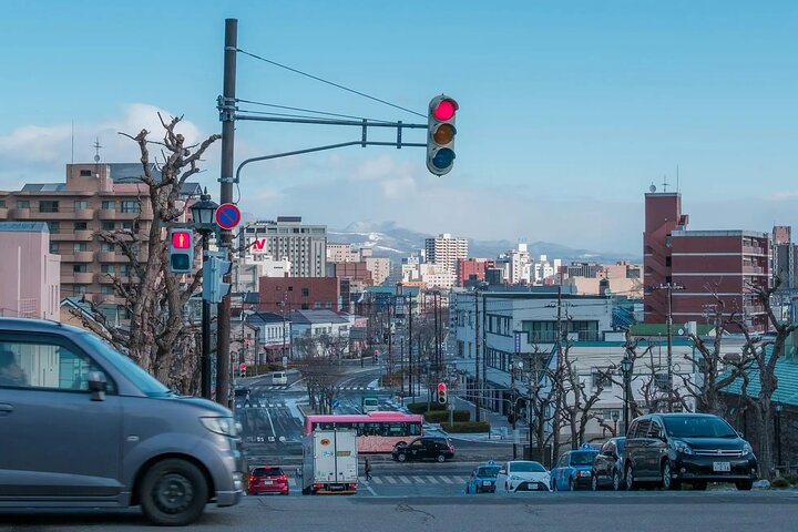 Hakodate Highlights 5 Hours Private Shore Excursion