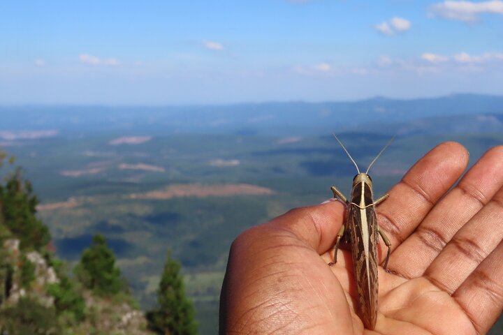 Panorama Route Full Day Tour