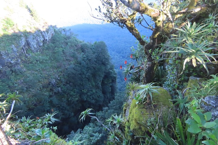 Panorama Route Full Day Tour