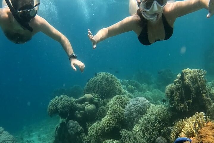 Private Snorkeling Tour of Gili Islands in Air Meno and Trawangan