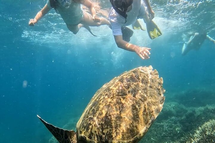 Private Snorkeling Tour of Gili Islands in Air Meno and Trawangan