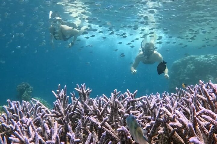 Private Snorkeling Tour of Gili Islands in Air Meno and Trawangan