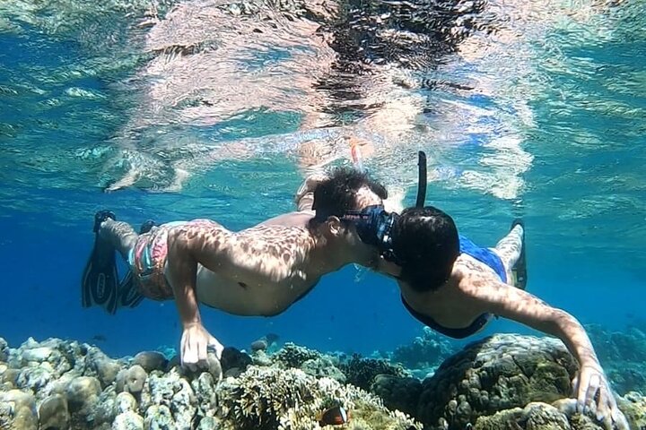 Private Snorkeling Tour of Gili Islands in Air Meno and Trawangan