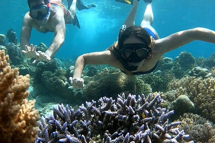 Private Snorkeling Tour of Gili Islands in Air Meno and Trawangan