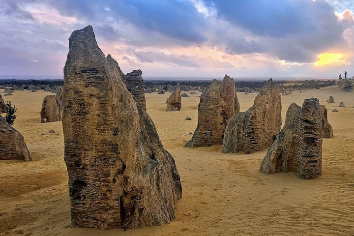 Pinnacles Desert Sunset Dinner and Stargazing Tour