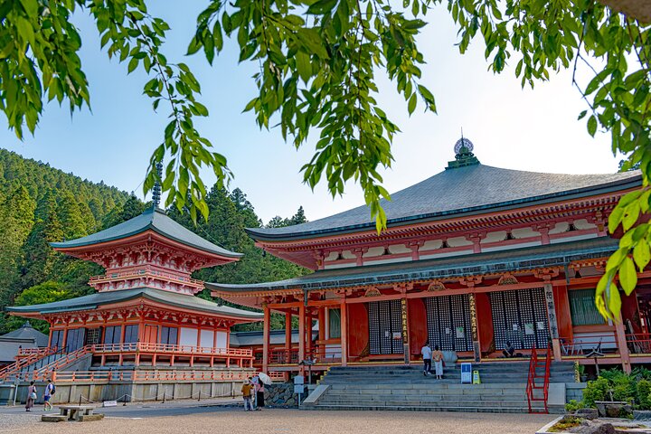 Private Tour to Kyu Chikurinin Garden by Car