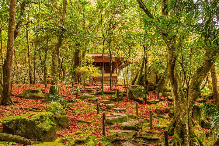 Private Tour to Kyu Chikurinin Garden by Car