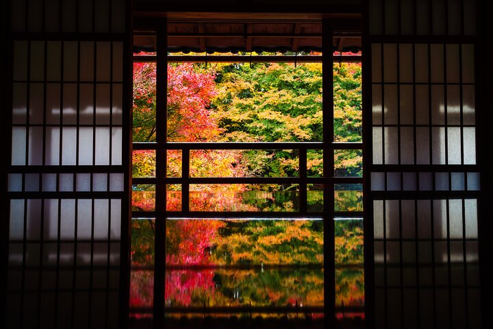 Private Tour to Kyu Chikurinin Garden by Car