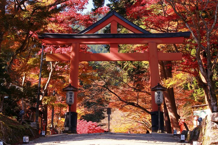 Private Tour to Kyu Chikurinin Garden by Car