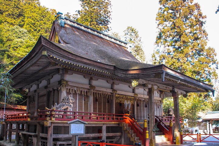 Private Tour to Kyu Chikurinin Garden by Car