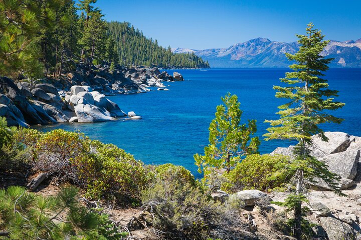 Lake Tahoe Half-Day Morning Guided Tour from Reno | Small Group