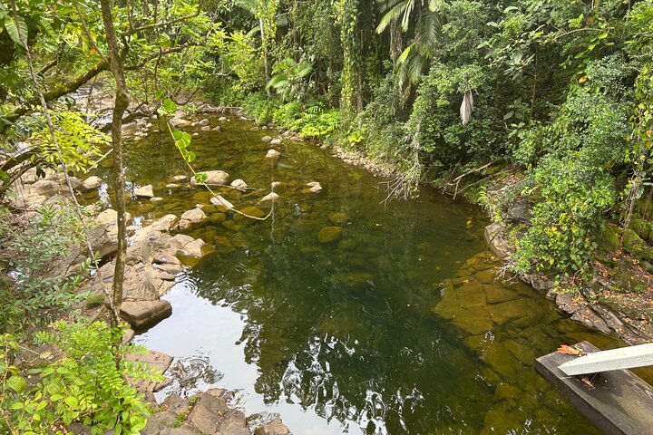 Big Island Scenic Tour: Volcano Hilo Town Waterfall Beach & Lunch