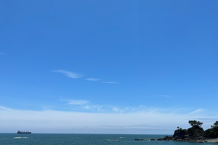 Private Kochi Shore Excursion