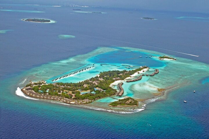Maldives Dolphin Discovery Cruise by Speedboat