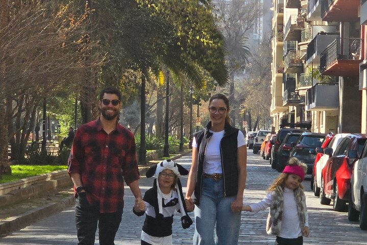 6 Hour Tour of Culture, History and Flavors from Santiago
