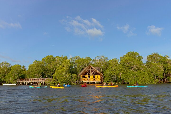 Mida creek mangrove Kayaking adventure in Watamu, Kenya