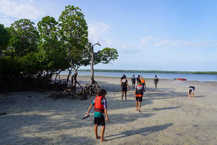 Mida creek mangrove Kayaking adventure in Watamu, Kenya