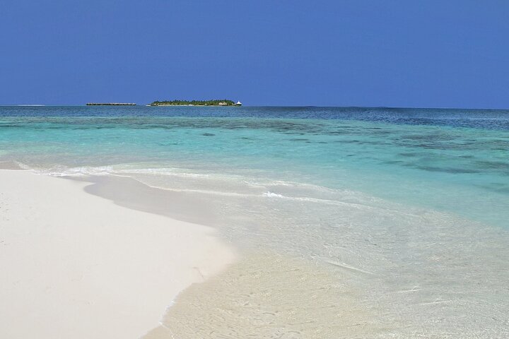 Maldives: Snorkeling with Nurse Sharks, Coral Reef, Sandbank Tour