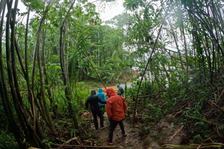 3-Day Amazon Jungle & Sandoval Lake Tour from Puerto Maldonado