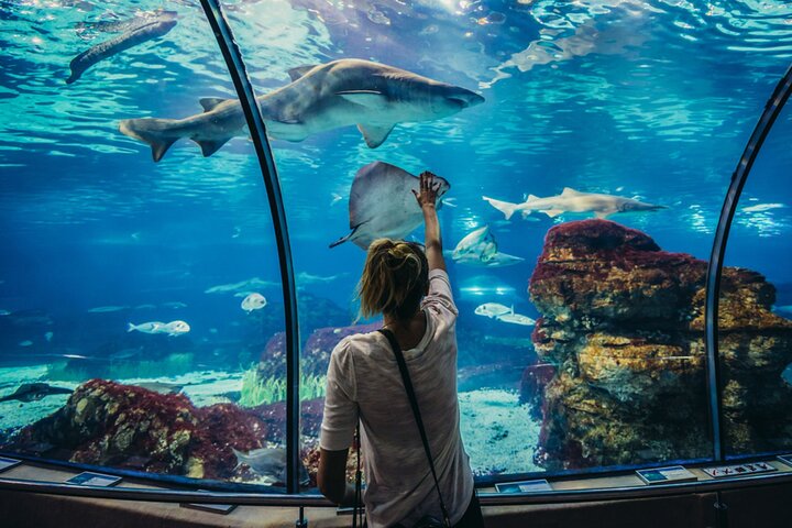 Barcelona Attraction Pass with Hop On Bus, La Sagrada Familia