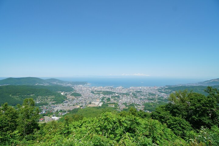 Private Customizable walking Tour in Otaru