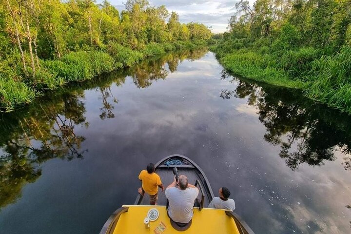 2Ns Orangutan Kelotok Tour in Tanjung Puting Kalimantan - Borneo