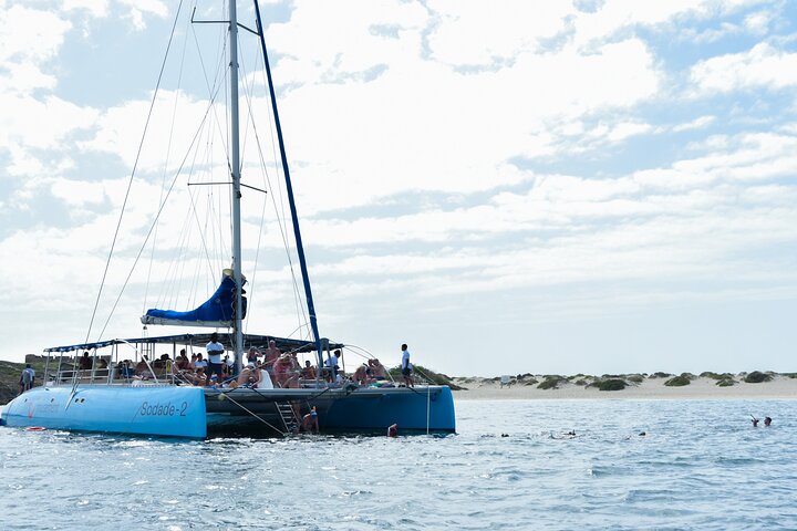 Boa Vista Catamaran Tour: All Inclusive Bay Cruise