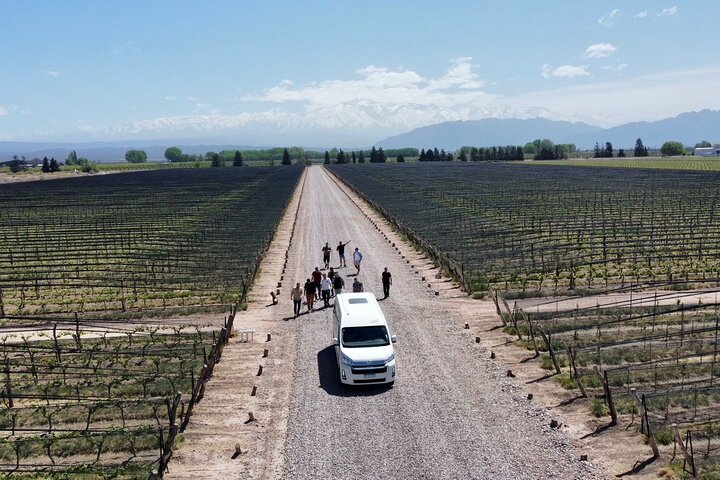 Bodegas & Olivares 1/2 day without lunch