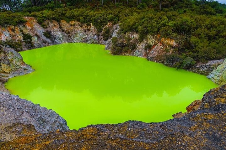 Ex Hamilton: TRIPLE DEAL Wai O Tapu, Redwood Forest & Blue Spring