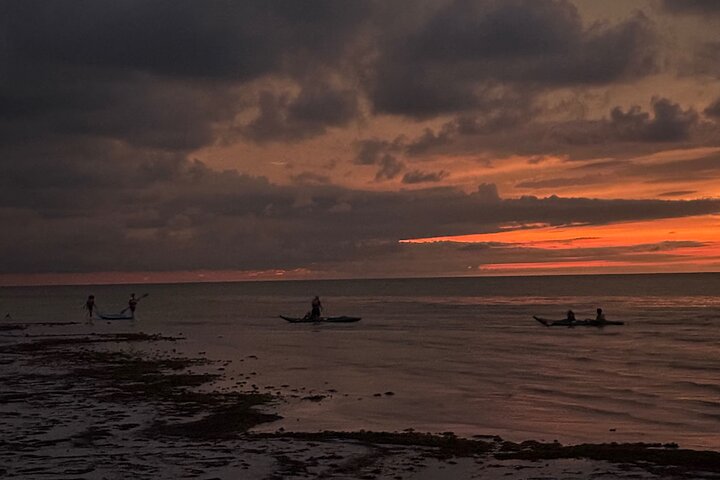 Kayak Experience in the Mangroves of Holbox Island