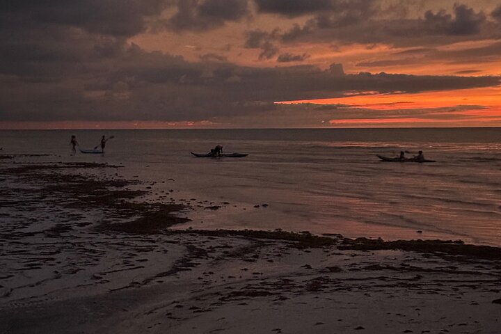 Kayak Experience in the Mangroves of Holbox Island