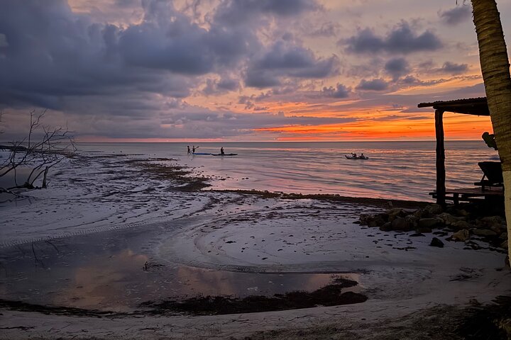 Kayak Experience in the Mangroves of Holbox Island