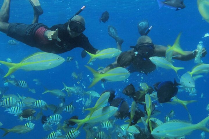 VIP Party Boat & Snorkeling