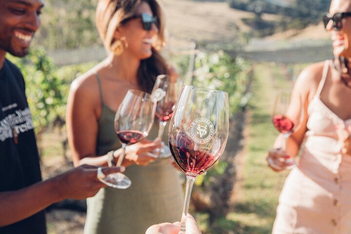 Auckland: Waiheke Island Scenic Tour 4 Vineyards, Local Guides