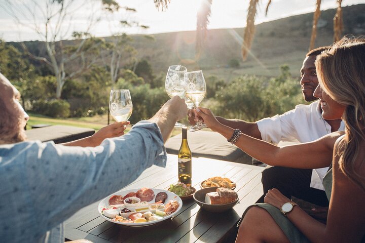 Auckland: Waiheke Island Wine Tour + Tastings & Beachfront Lunch