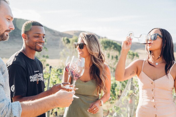 Auckland: Waiheke Island Wine Tour + Tastings & Beachfront Lunch