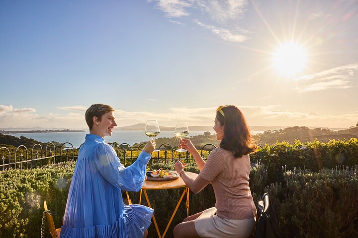 Auckland: Waiheke Island Wine Tour + Tastings & Beachfront Lunch