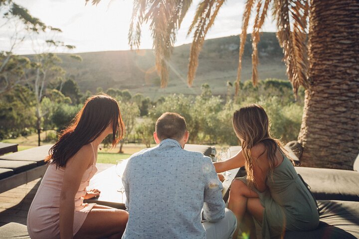 Auckland: Waiheke Island Wine Tour + Tastings & Beachfront Lunch