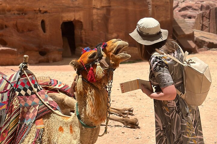 Petra in 3 Hours – Highlights with a private guide