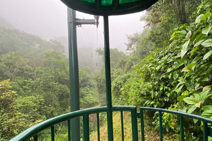 Rainforest Aerial Tram Tour in Jaco, Costa Rica