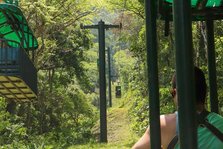 Rainforest Aerial Tram Tour in Jaco, Costa Rica