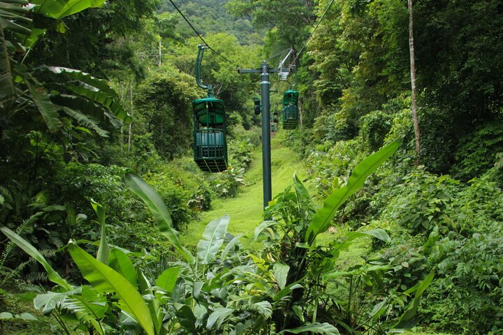 Rainforest Aerial Tram Tour in Jaco, Costa Rica